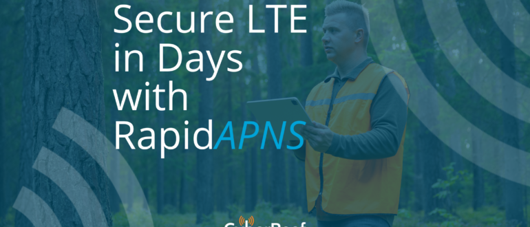 What is a RapidAPN?